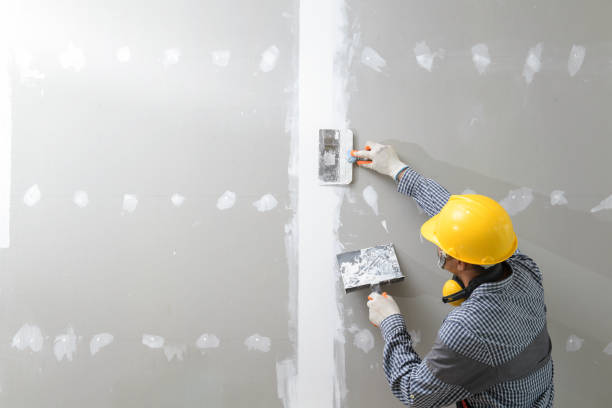 Mold Removal for HVAC Installations in Farmers Loop, AK