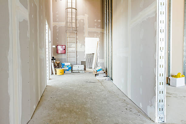 Best Post-Construction Mold Inspection  in Farmers Loop, AK